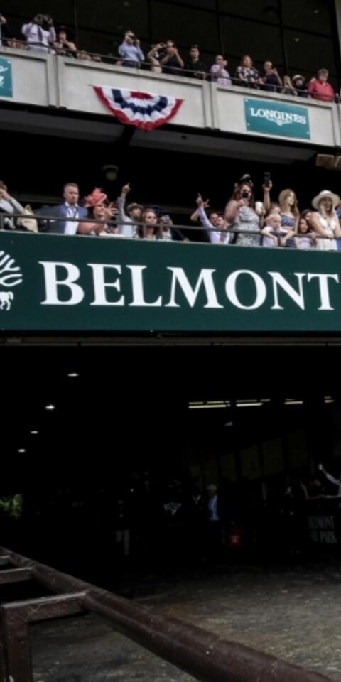 2024 Belmont Stakes Odds Betting Preview Odds Shark